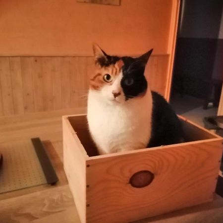Grande Chambre D'Hote Proche Disneyland Et Parc Des Felins Guerard Bagian luar foto